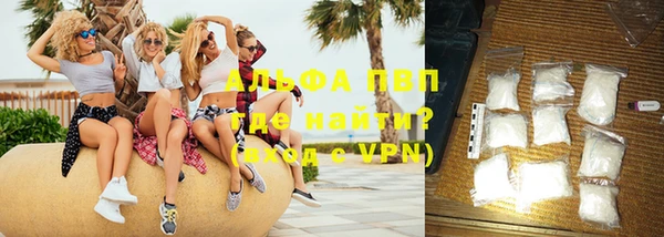 гашик Пестово
