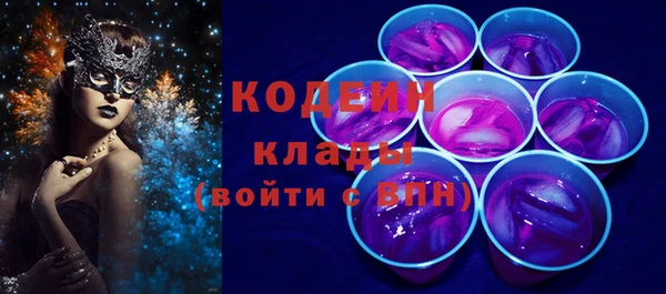 гашик Пестово