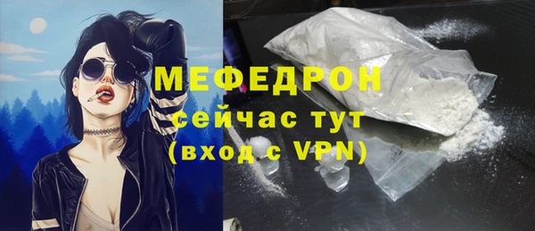 гашик Пестово