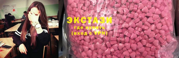 гашик Пестово