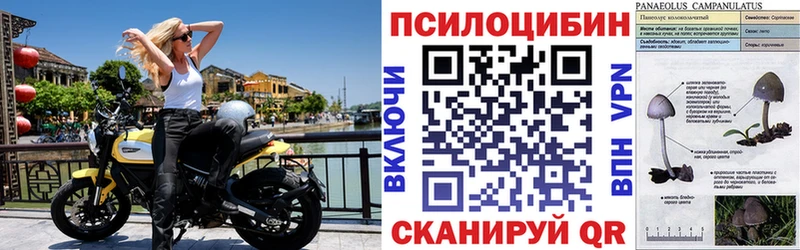 Псилоцибиновые грибы мухоморы  Северская 