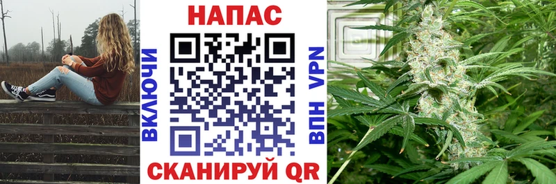 МАРИХУАНА индика Северская